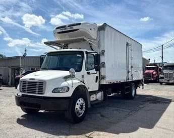 Camión refrigerado Freightliner M2 106 2019 con unidad Thermo King