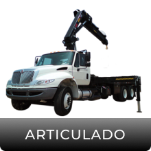 Articulado